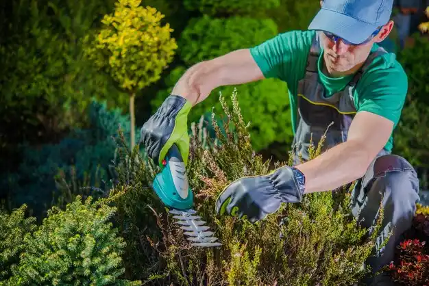 landscaping services Centerville
